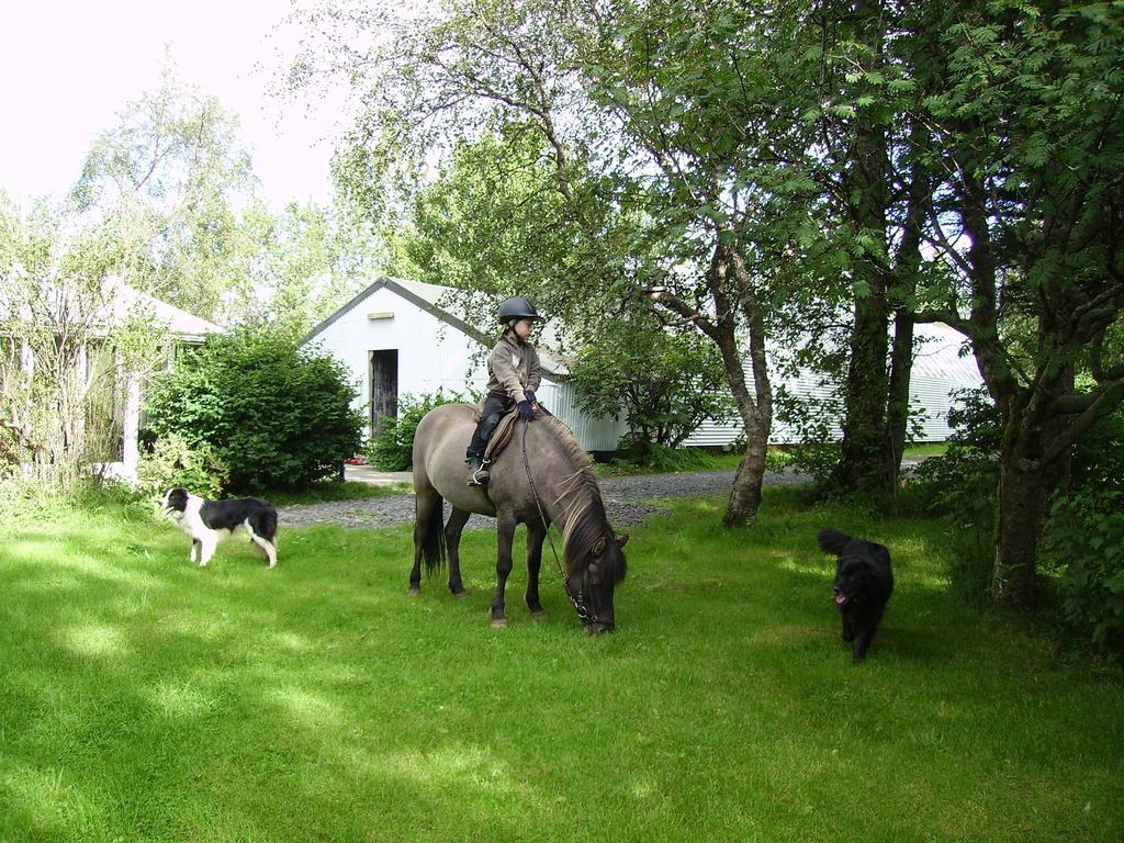 Árbakki Farmhouse Lodge Reykholt  Esterno foto