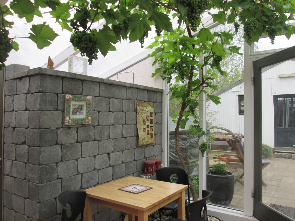 Árbakki Farmhouse Lodge Reykholt  Esterno foto